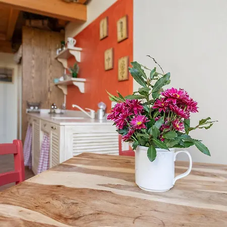 Agriturismo Cantarane Country House-3